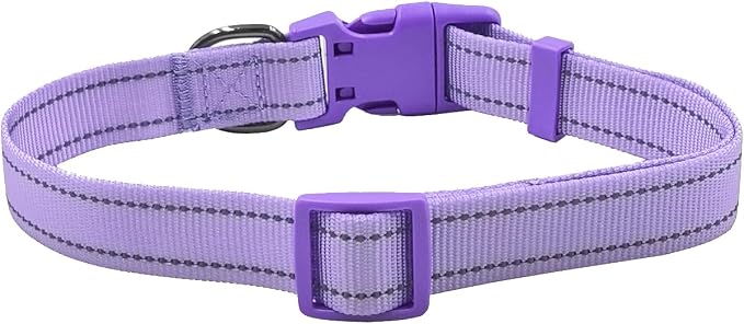 Dog Collar Leash Set, with Relfective Strips, Lilac Purple, Large. | Adjustable Collar,5 ft Matching Leash,Neoprene Padded Handle.