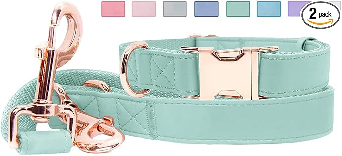 Soft Leather Dog Collar and Leash (6.6') Set - Stylish Rose Gold Heavy Duty Metal Buckle, 4 Adjustable Lengths Leash for Small Medium Large Dogs - Comfortable & Easy to Clean Mint Green S(12.2"-16.9")