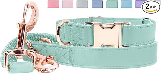 Soft Leather Dog Collar and Leash (6.6') Set - Stylish Rose Gold Heavy Duty Metal Buckle, 4 Adjustable Lengths Leash for Small Medium Large Dogs - Comfortable & Easy to Clean Mint Green XS(8"-12")