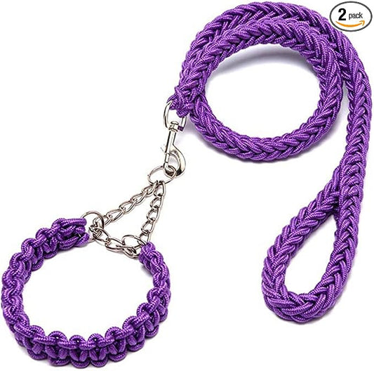Love Dream Dog Collar and Leash Set, Heavy Duty Nylon Braided Rope Strong 4 FT Dog Leash and Martingale Training Collar for Small Medium Large Dogs Training and Walking (Purple)