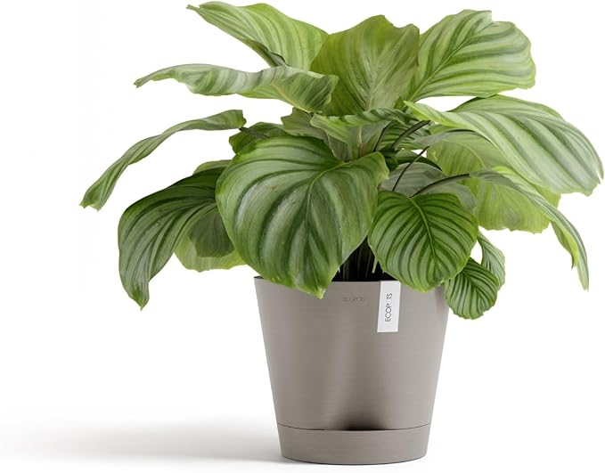 Ecopots Venice 2 Durable Modern Round Indoor/Outdoor Recycled-Based Composite Flower Pot Planter w/Water Reservoir, Taupe, 12"