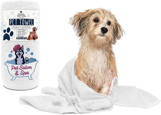 DAN RIVER Dog Towel - Pack of 1, 100% Cotton, 20x40, Ultra Soft 450 GSM, Super Absorbent & Quick Drying Towel for Dogs, Cats, and Other Pets, White Pet.