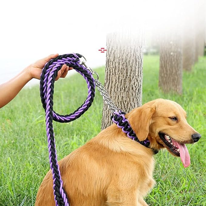 Love Dream Dog Collar and Leash Set, Heavy Duty Nylon Braided Rope Strong 4 FT Dog Leash and Martingale Training Collar for Small Medium Large Dogs Training and Walking (Blue & Pink)