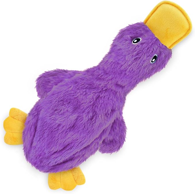 Best Pet Supplies Interactive Squeaky Dog Chew Toy, Ideal Dog Toys for Chewers, Small, Medium & Large Dogs, and Fetch Lovers - Crinkle Duck (Yellow, Purple & Turquoise), Large