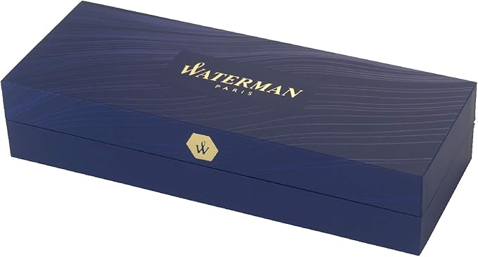 Waterman Expert GB fountain pen