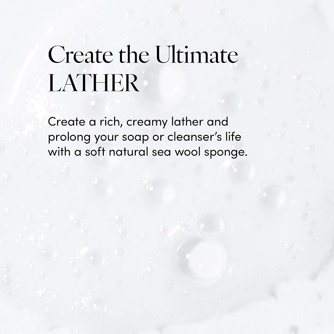 LATHER - Natural Sea Wool Sponge, 4-5" - Organic Exfoliating Body Scrubber - Soft, Gentle Cleansing - Hypoallergenic - All Skin Types - Florida Natural Loofah Sponge - Cruelty Free - Beauty & Skincare