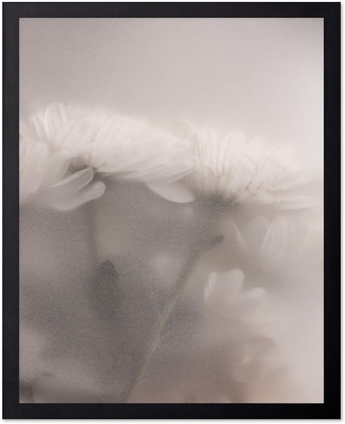 Monem Art Ethereal White Flower Print - Minimalist Botanical Photography Poster - Wall Decor for Living Room, Bedroom or Office - 12x16 Unframed Wall Art by Mareike Bohmer