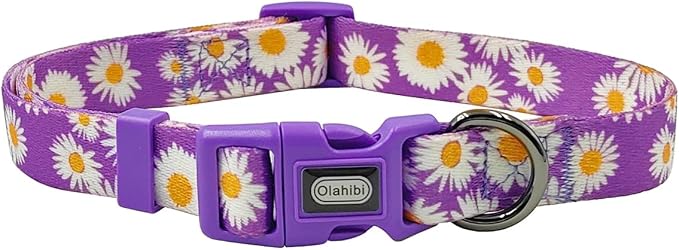 Dog Collar and Leash Set, Cute Daisy Pattern, Polyester Material, 5ft Leash, for Small Dogs.(Small,Purple Daisy)