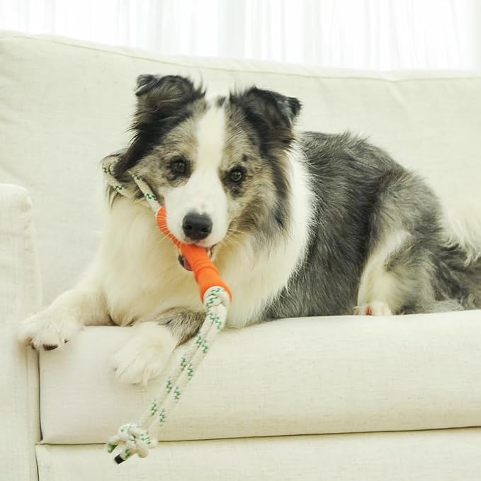 Green Sheep Tug & Enrichment Dog Toy, Interactive Rope Bone Toy with Removable Cotton Rope, Treat Dispensing Natural Rubber Dental Chew Toy for Medium and Large Dogs, Orange
