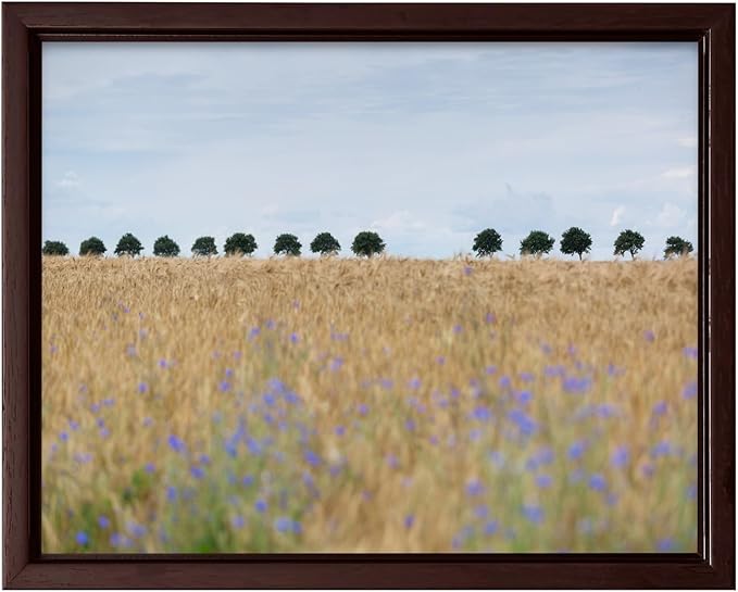 Monem Art Golden Meadow Horizon Landscape Print - Minimalist Nature Photography Poster - Wall Decor for Living Room, Bedroom or Office - 16x20 Brown Framed CANVAS Wall Art by Mareike Bohmer