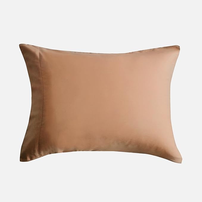 DOZ Pillowcase Set, 100% Viscose derived from Bamboo, Organically Grown, Buttery Soft, Silky, Breathable, Cooling, Oeko-TEX, High GSM, 2-Pack, Envelope Closure (Queen, Clay)