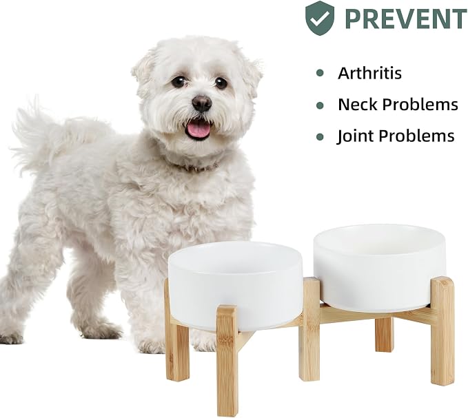 Havniva 6.1” Dog Bowls Elevated Ceramic Dog Food and Water Bowl Set, Double Raised Dog Water Bowl with Stand Non-Slip Rubber Base Two Heights Large Capacity Feeding Pet Food Bowl for Small Dogs