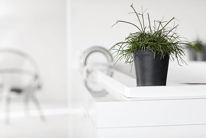 Ecopots Amsterdam Mini Durable Modern Round Recycled-Based Composite Flower Pot Planter, Dark Grey, 4"