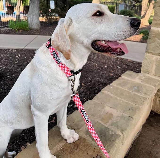 Lucky Love Dog - Adjustable Dog Collar with Easy Click Buckle for Medium, Durable, & Comfortable for Male & Female Dogs, Pet Collar for Puppies & Adult Dogs - Bailey, Medium