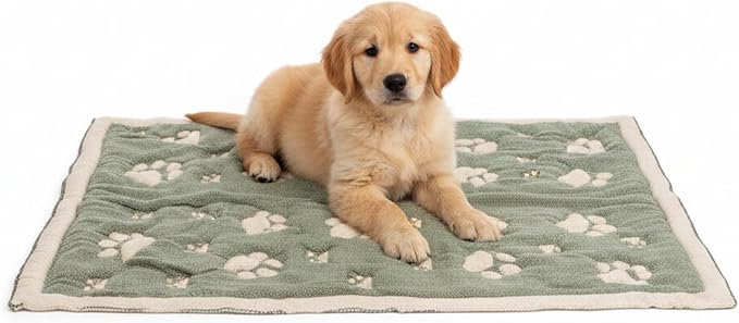 PetMat, Biscuit Beige, 28x40 in | Organic Cotton Crate Pad, Small Dogs, Cats & Nursery, Seamless & Reversible, Washable, 3D Knit Comfort
