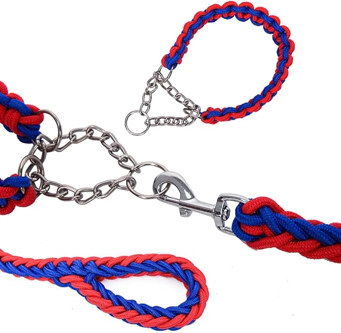 Love Dream Dog Collar and Leash Set, Heavy Duty Nylon Braided Rope Strong 4 FT Dog Leash and Martingale Training Collar for Small Medium Large Dogs Training and Walking (Blue & Red)