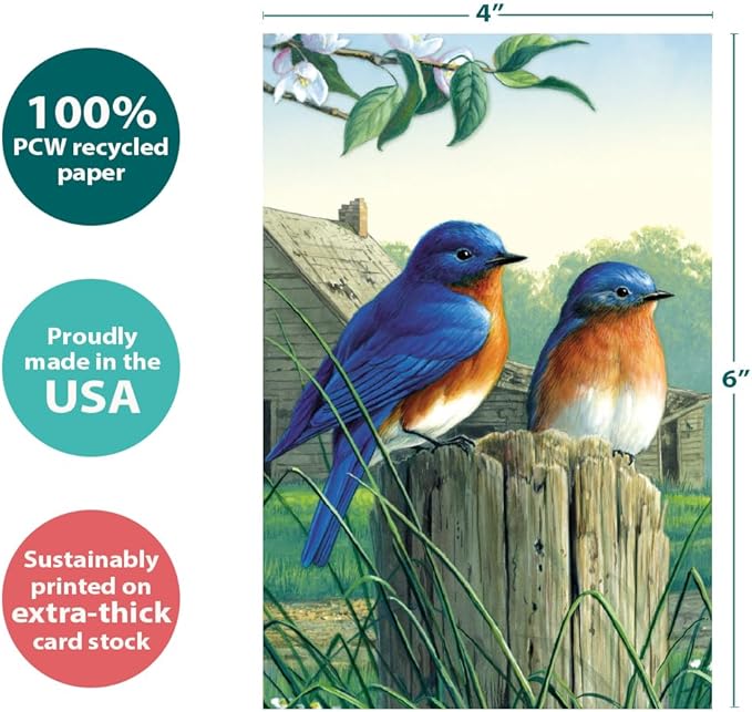Tree-Free Greetings - All Occasion Cards - Artful Designs - 12 Greeting Cards + White Envelopes - Made in USA - 100% Recycled Paper - 4 x 6 - Morning Bluebirds (FS66817)