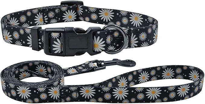 Dog Collar Leash Set, Floral Pattern, Polyester Material, Adjustable Collar and 5ft Matching Leash, for Medium Dogs.(M, Black Daisy)