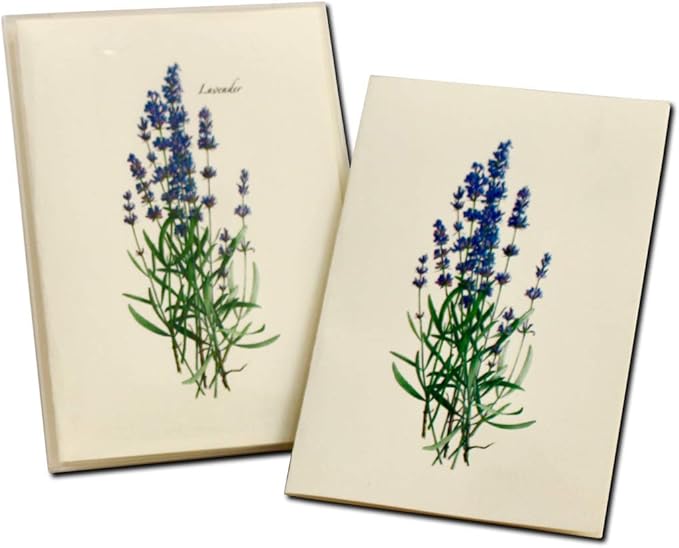 Earth Sky + Water - Lavender Notecard Set - 8 Blank Cards with Envelopes