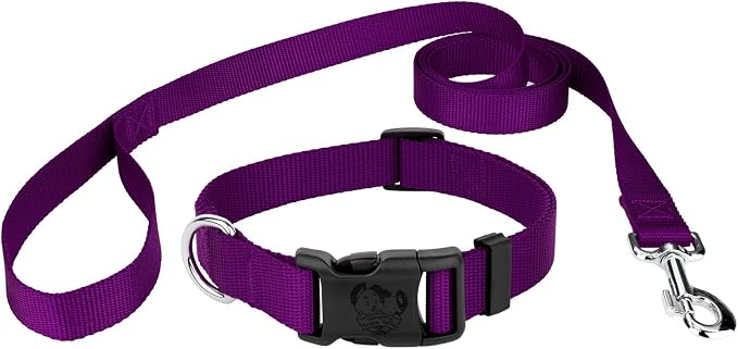 Country Brook Petz - Everyday Nylon Dog Collar and Leash - 10+ Cool Colors (3/4 Inch, Small, Purple)