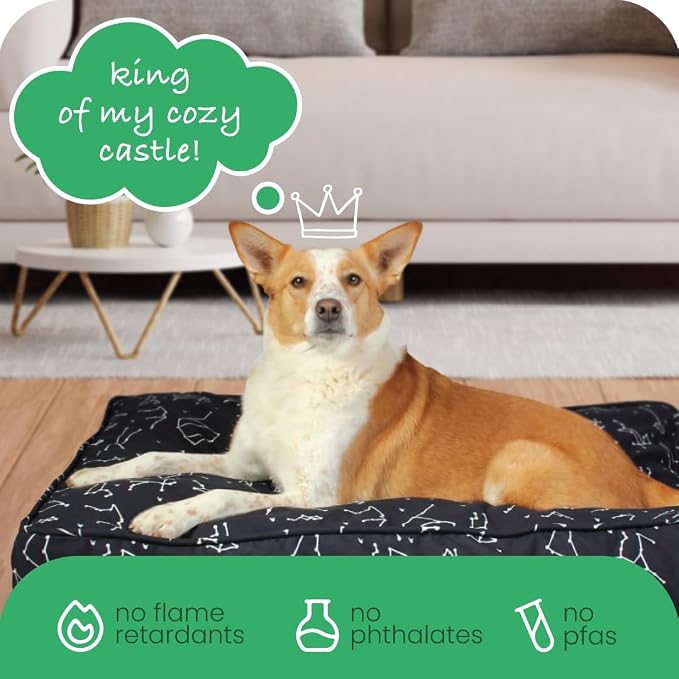 Molly Mutt Small Dog Bed Cover -Rocketman Print - Measures 22”x27”x5’’ - 100% Cotton - Durable - Breathable - Sustainable - Machine Washable Dog Bed Cover