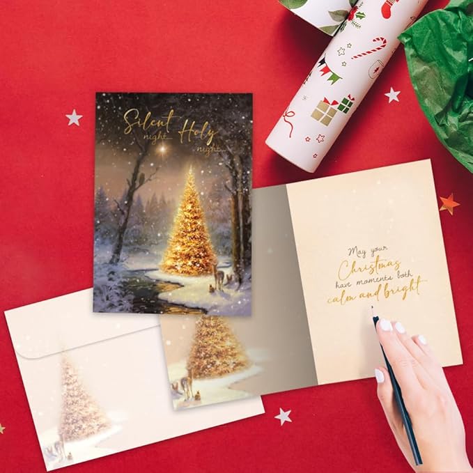Tree-Free Greetings - Christmas Greeting Cards - Artful Designs - 1 Card + Matching Envelopes - Made in USA - 100% Recycled Paper - 5"x7" - Calm and Bright (GO64217)