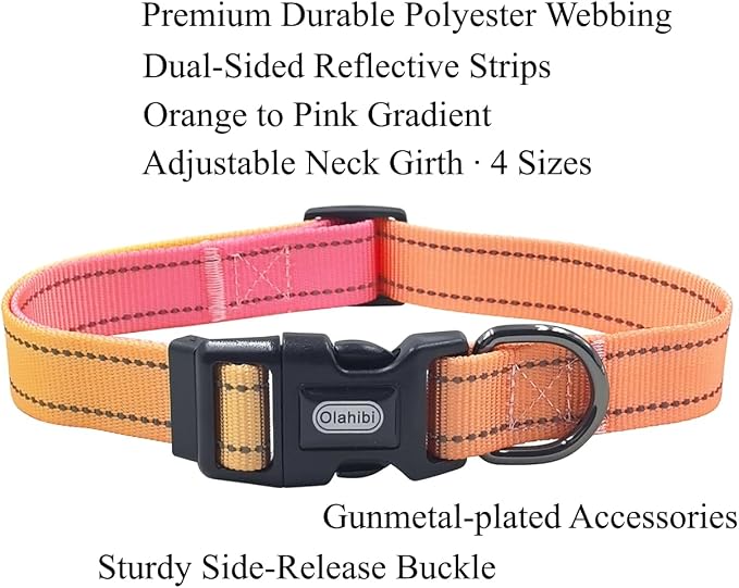 Dog Collar Leash Set, Gradient Color, with Safety Reflective Strips, 5 ft Matching Leash, Neoprene Padded Handle, Adjustable 4 Sizes for Small Medium Large Dogs.(M, Orange Pink)