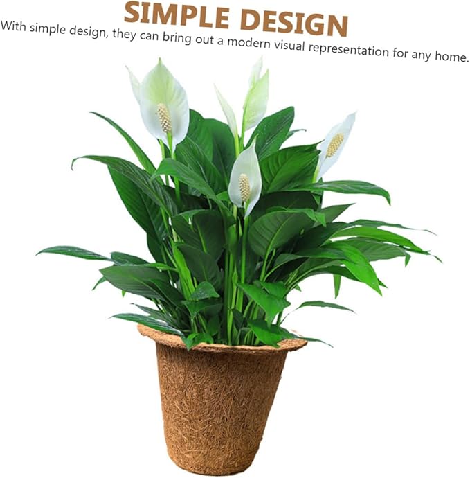 LABRIMP 6pcs Biodegradable Coir Succulent Planter Nursery Pots for Seedlings and Indoor Garden, Eco-Friendly Peat Plant Holders Suitable for Vegetable and Herb Growth
