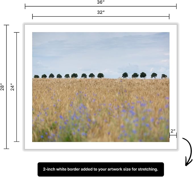 Monem Art Golden Meadow Horizon Landscape Print - Minimalist Nature Photography Poster - Wall Decor for Living Room, Bedroom or Office - 24x32 ROLLED CANVAS Wall Art by Mareike Bohmer