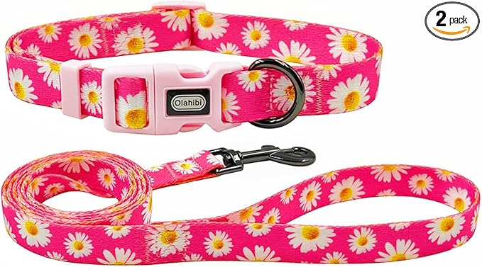 Dog Collar and Leash Set, Cute Pink Daisy Pattern, Polyester Material, 5ft Leash, for Puppy Dogs.(XS, Daisy Set)
