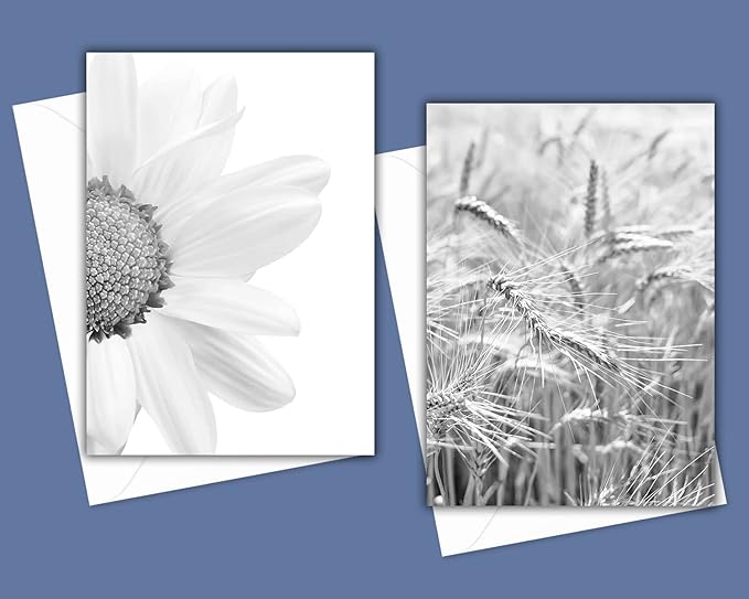 Modern Farmhouse Greeting Cards - Set of 10 All Occasion 5x7 Note Cards with Envelopes. Blank Inside. Assorted Black & White Photos Including Horses, Cows, Barn, Daisies, Windmill and More.