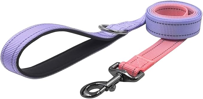 Dog Collar Leash Set, Gradient Color, with Safety Reflective Strips, 5 ft Matching Leash, Neoprene Padded Handle, Adjustable 4 Sizes for Small Medium Large Dogs.(M, Lilac Pink)