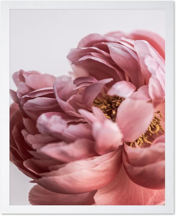 Monem Art Blush Pink Peony Print - Minimalist Floral Photography Poster - Wall Decor for Living Room, Bedroom or Office - 16x20 White Framed Wall Art by Mareike Bohmer