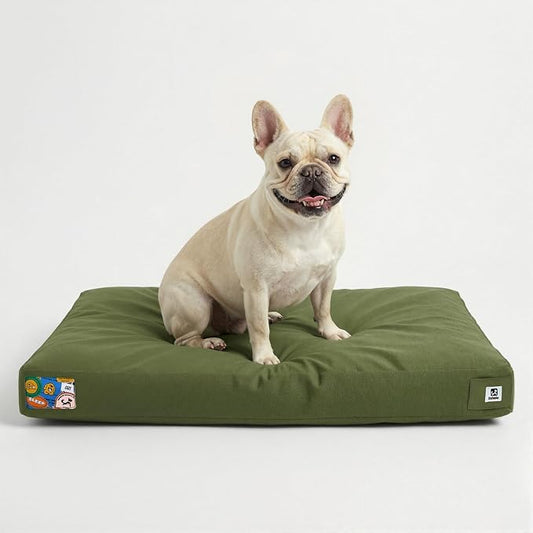 Sytopia 30 Inch Canvas Outdoor Dog Bed for Medium Dogs, Durable Dog Bed with Waterproof Machine Washable Removable Cover, Indoor Patio Pet Pad for Crate, Green