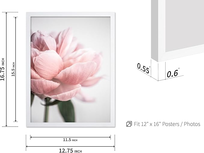 Monem Art Soft Pink Peony Macro Photography Print - Minimalist Floral Art Poster - Wall Decor for Living Room, Bedroom or Office - 12x16 White Framed Wall Art by Mareike Bohmer