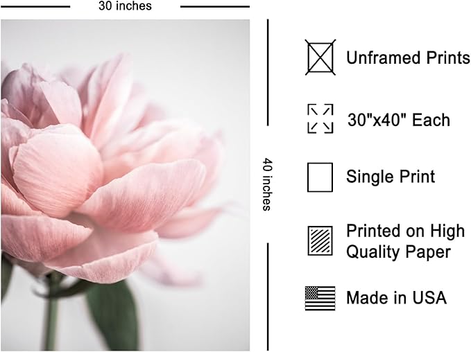 Monem Art Soft Pink Peony Macro Photography Print - Minimalist Floral Art Poster - Wall Decor for Living Room, Bedroom or Office - 30x40 Unframed Wall Art by Mareike Bohmer