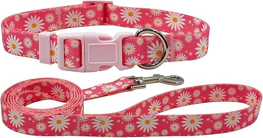 Dog Collar Leash Set, Floral Pattern, Polyester Material, Adjustable Collar and 5ft Matching Leash, for Small Dogs.(S, Daisy)