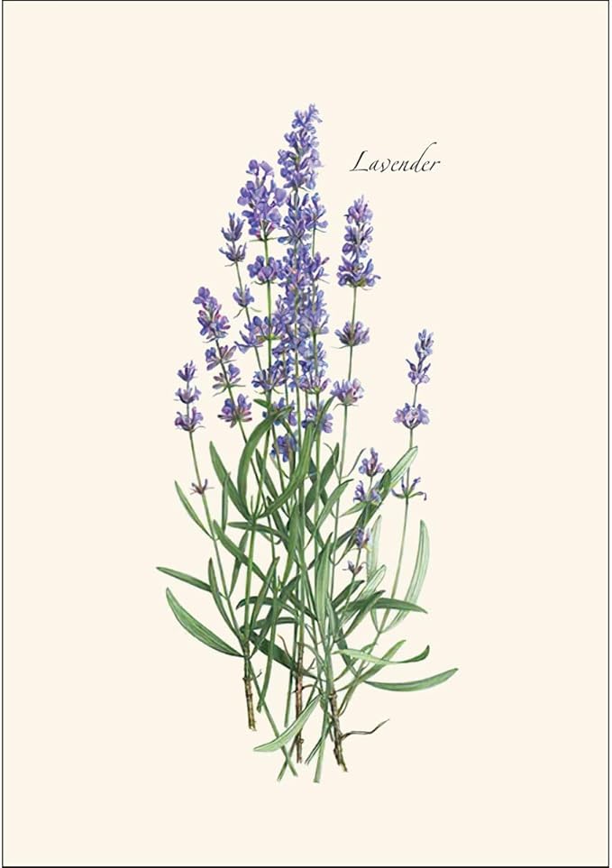 Earth Sky + Water - Lavender Notecard Set - 8 Blank Cards with Envelopes