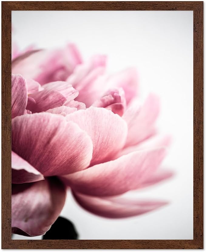 Monem Art Pink Peony Macro Photography Print - Minimalist Floral Art Poster - Wall Decor for Living Room, Bedroom or Office - 12x16 Brown Framed Wall Art by Mareike Bohmer