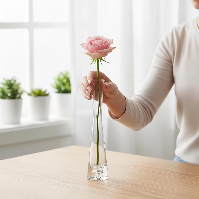 Clear Glass Small Bud Vase 8 Inches 1 Pack Narrow Necked Single Stem Vase Minimalist Modern for Home Office Table Decoration