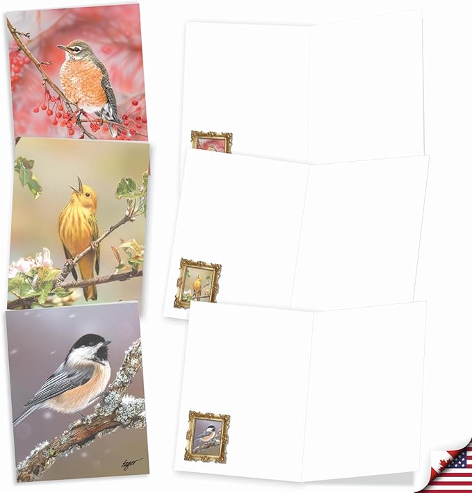 The Best Card Company - 20 Blank Notes with Envelopes - All Occasion Animal Assortment (10 Designs, 2 Each) - Bird Beauties AM9616OCB-B2x10