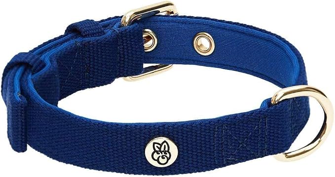 Blueberry Pet Dog Leash & Collar Set - Puppy Essentials for Small Dogs, Heavy Duty Dog Leashes for Large Dogs, Blue Adjustable Neoprene Padded Collar & 4ft Rope Leash, Award-Winning Brand