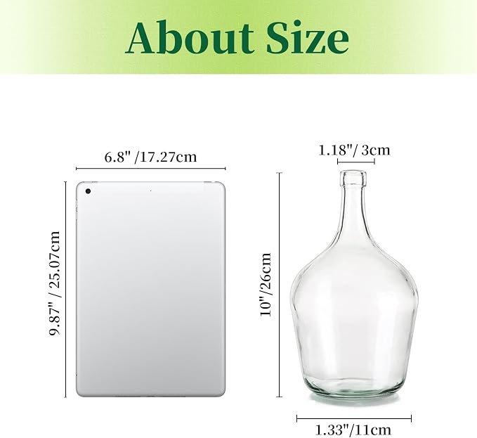 Hewory Large Glass Vase for Decor, 10in Clear Tall Farmhouse Decorative Floor Vase, Round Bubble Balloon Glass Jug for Coffee Table Fireplace Mantel Entryway Living Room Bedroom Kitchen