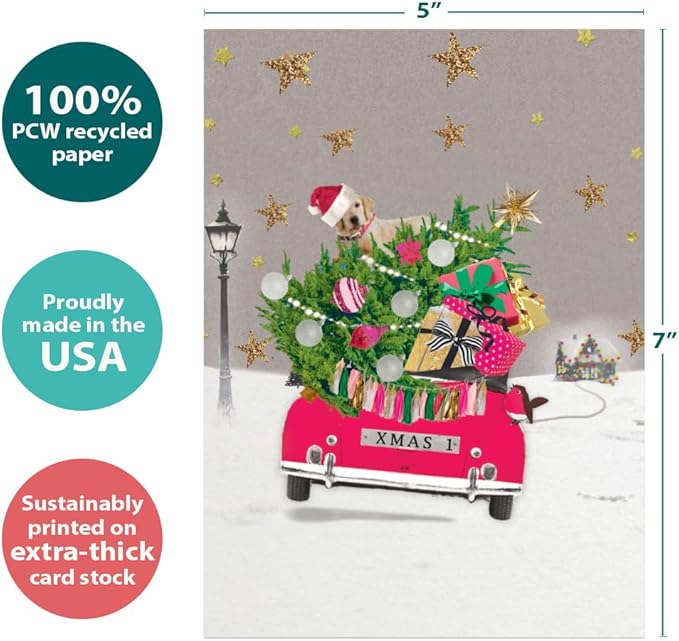 Tree-Free Greetings - Christmas Greeting Cards - Artful Designs - 1 Card + Matching Envelopes - Made in USA - 100% Recycled Paper - 5"x7" - Headed Home (GO64213)