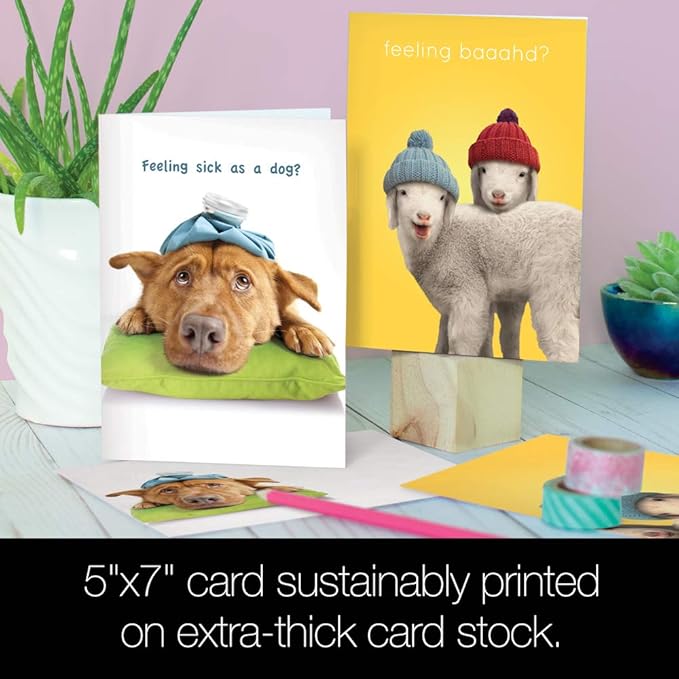 Tree-Free Greetings Funny Feel Better Soon Get Well Card Assortment, 5 x 7 Inches, 8 Cards and Envelopes per Set (GA31530)