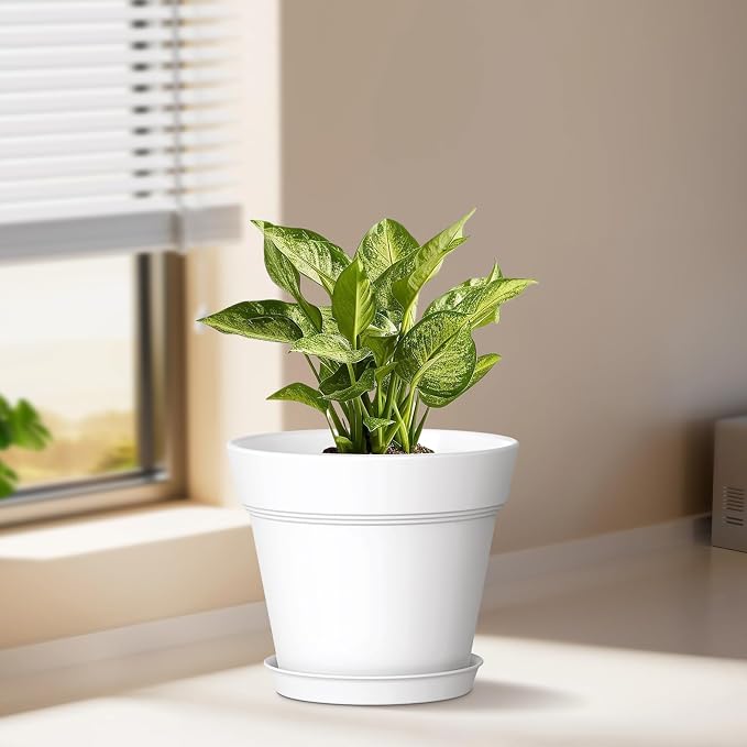 WSMKSZ 6 Inch Thick Plastic Plant Pots with Drainage Holes and Trays – 6 Pack Nursery Pots for Indoor & Outdoor House Plants, Seedling Starter Planters for Garden Flowers, Colorful