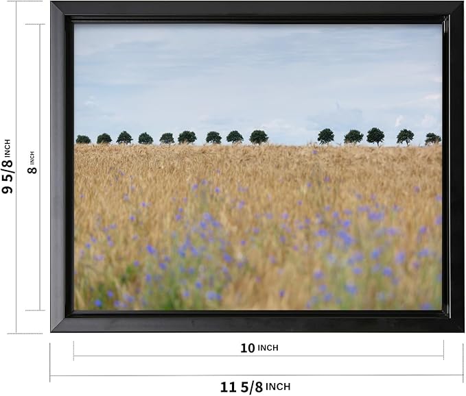 Monem Art Golden Meadow Horizon Landscape Print - Minimalist Nature Photography Poster - Wall Decor for Living Room, Bedroom or Office - 8x10 Black Framed CANVAS Wall Art by Mareike Bohmer
