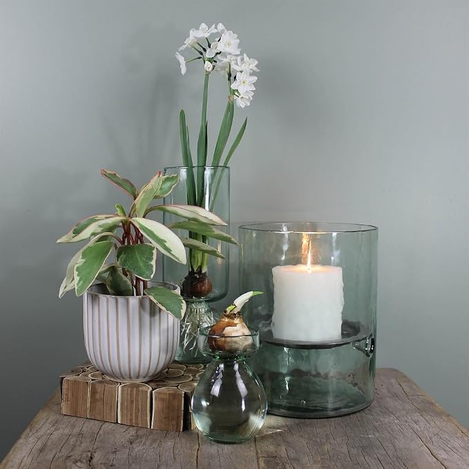 HomArt Recycled Glass Bulb Vase, Clear, 1-Count