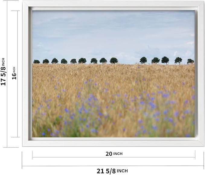 Monem Art Golden Meadow Horizon Landscape Print - Minimalist Nature Photography Poster - Wall Decor for Living Room, Bedroom or Office - 16x20 White Framed CANVAS Wall Art by Mareike Bohmer