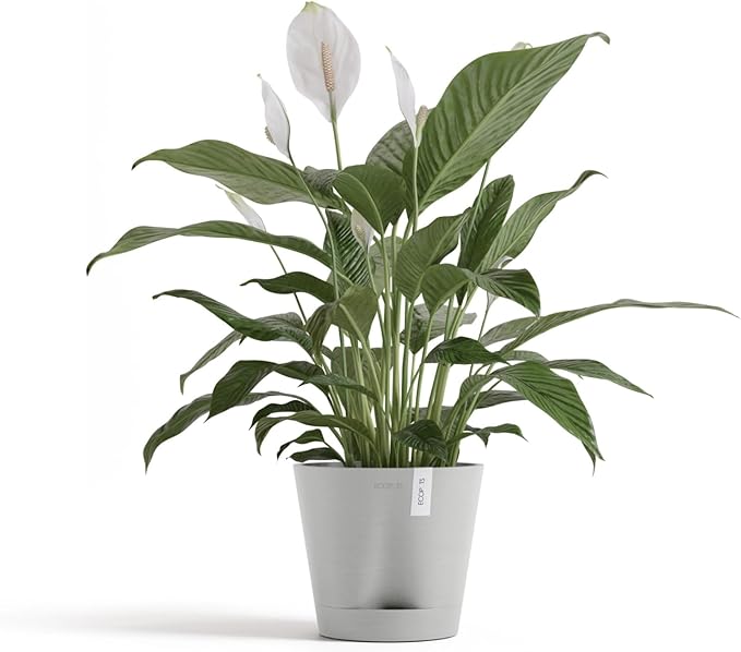 Ecopots Venice 2 Durable Modern Round Indoor/Outdoor Recycled-Based Composite Flower Pot Planter w/Water Reservoir, White Grey, 8"